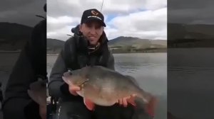 Клип @zatropheem