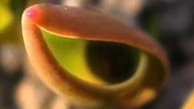 Тогда прости_ автор Олег Сапегин исполнение, аранжировка