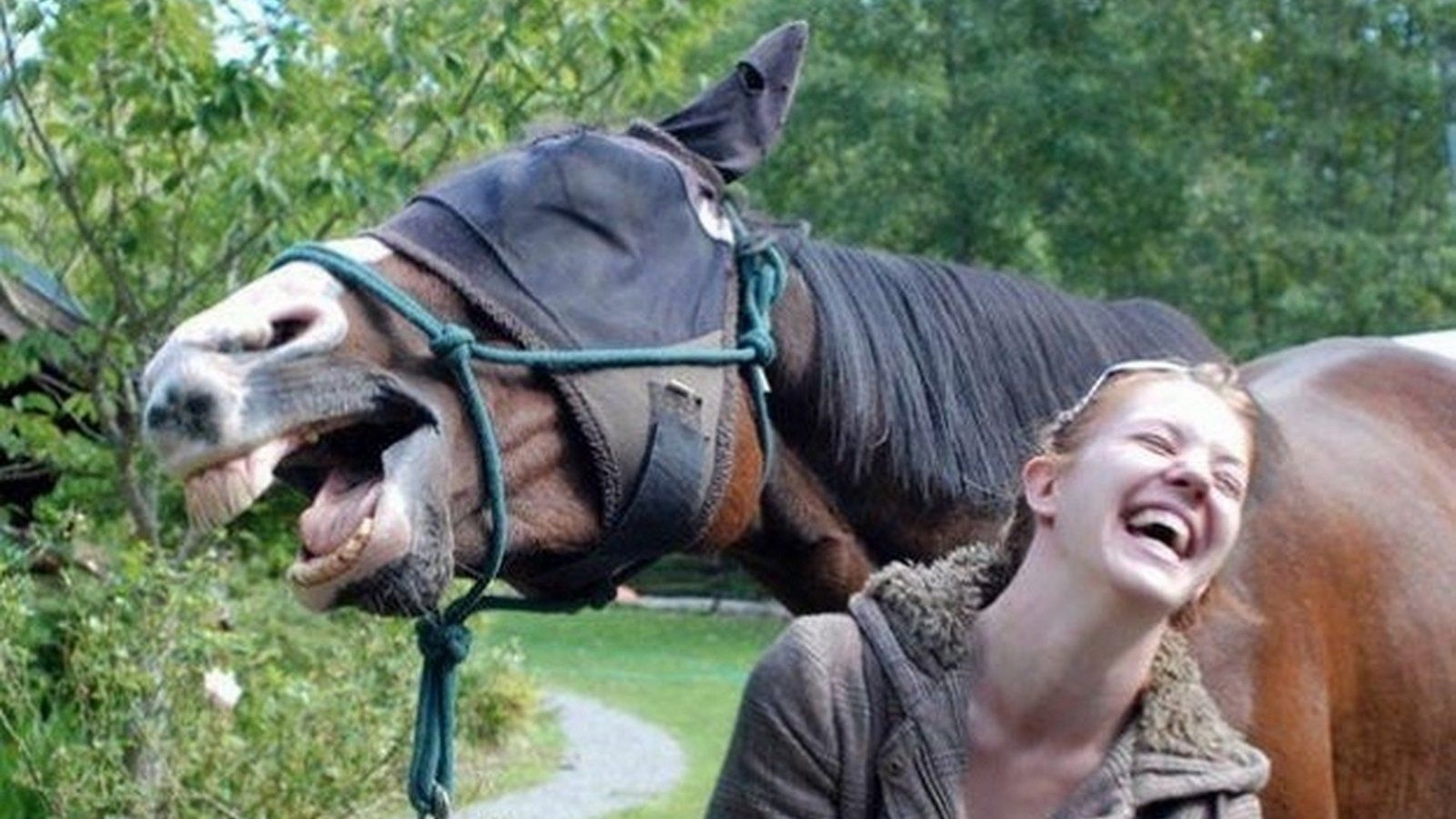 СМЕШНАЯ ПОДБОРКА ПРИКОЛОВ ПОСЛЕ ТЯЖЁЛОГО РАБОЧЕГО ДНЯ ОТ СМЕХ TV 2025