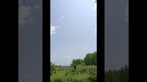 Рассказ  -  "Пушистая Берегиня"