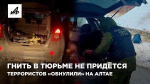 Гнить в тюрьме не придётся. Террористов «обнулили» на Алтае