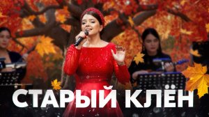 ДУШЕ ТЕПЛО ОТ ЭТОЙ ПЕСНИ ❤️ Старый клен - Арина Кузнецова и оркестр "Мастера России"