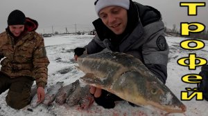 Трофейный Осетр и Форель Рыбалка с Ночевой в Палатке на Льду #осётр
