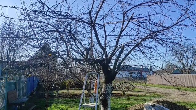 24-25 ноября 2025