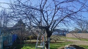 24-25 ноября 2025