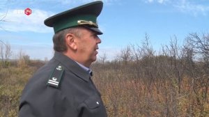 Зарастание земельного участка