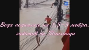 Вода поднялась на 1,5–3 метра, затопив юг Таиланда