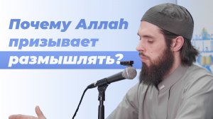 🔵 Побуждение к размышлению — устаз Валид