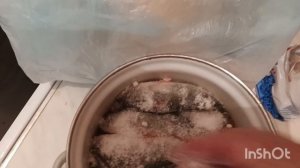 Мой рыбак 🐟Добытчик