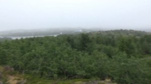 Мурманск  Алеша