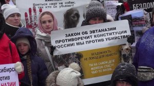 Митинг против эвтаназии бездомных животных прошел в Новосибирске