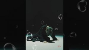 Мой ласковый и нежный зверь...