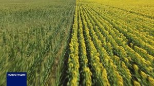 ДЕНЬ РАБОТНИКА СЕЛЬСКОГО ХОЗЯЙСТВА ОТМЕТИЛИ В ОРЕНБУРГЕ