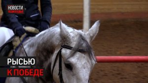 Соревнования по конкуру прошли в Химках // 360 ХИМКИ