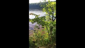 Лето,лето,лето...