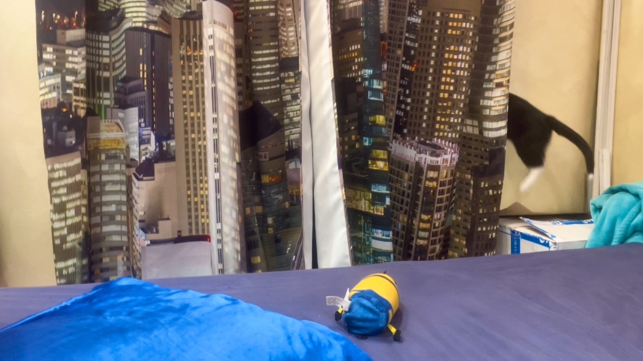 Хвостик-дирижёр