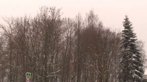 Ноябрь бьёт рекорды: синоптики рассказали о погоде в Вологодской области