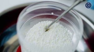 Применение гранулированных антибиотиков с кормом для свиноводства