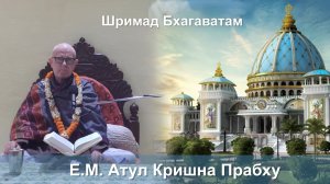 25.11.2025 || Шримад Бхагаватам 11.3.46 || Е.М. Атул Кришна Прабху