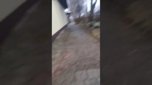 иду из школы