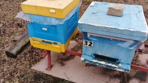 25.11.25. Пчелы на пасеке, вентиляция в ульях для зимовки!!!
