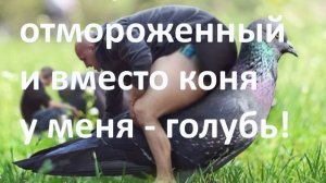 Возможности человека, которые не видят бедные или история про красные орешки