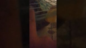 400отжиманий