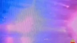 В Петербурге полицейские в ходе погони со стрельбой задержали нетрезвого водителя-дебошира