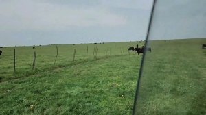 Ep.258 Visiting Russia's Largest Agricultural Company (Russian Subtitles)