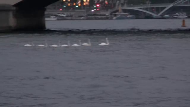 Париж прогулка по Сене часть 7 смотреть онлайн