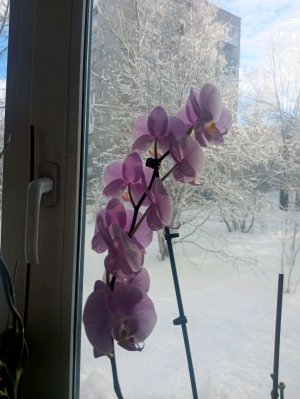 кофеёк . хороший заряд энергии на день