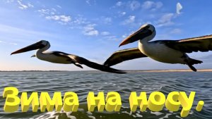 Зима на носу. А я на море. Ейск.