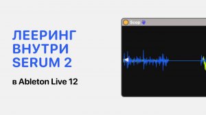Лееринг внутри синтезатора в Serum 2
