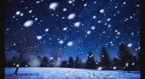 Ночь тиха, полна чудес