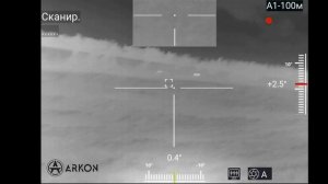 Охота с подхода на косулю ночью, 2025 год.  Столько косули я еще не видел!