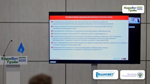 Международный ветеринарный форум ВетЭксперт, Николас Паласио (CDV, Аргентина))