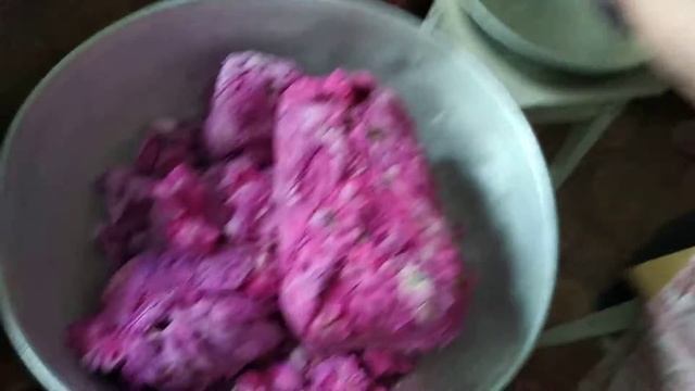 Лепестки розы из морозильной камеры .