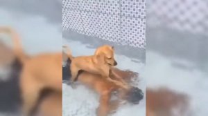 Китайские приколы видео / Asia By Sun / Эпизод 10