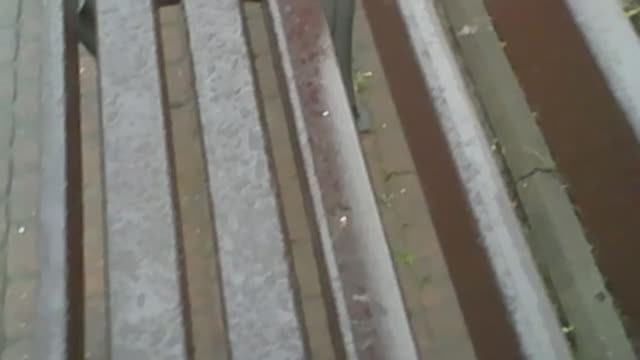 Кто в кустах за скамейкой? смотреть онлайн