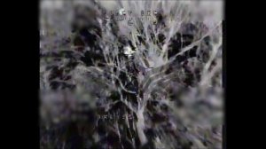 Донбасс. Пехота ВСУ уничтожается разящими ударами FPV-дронов Центра «Рубикон»