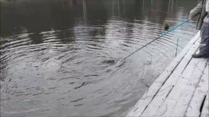 Обзор с верхнего водоёма.