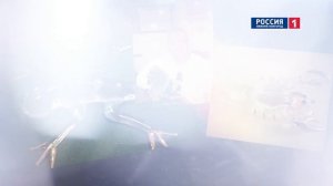 «100 лиц столицы химии». Дмитрий Балашов