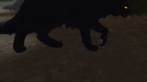 Крутобок всегда удивляет (я не помню цвет глаз😩)