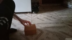 Детская радость :)