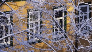 Народные приметы на 25 ноября: что можно и нельзя делать