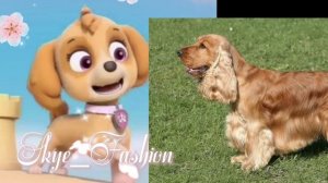 какой породы Скай из щенячьего патруля? моя версия:)