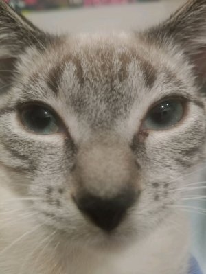 играем в рб