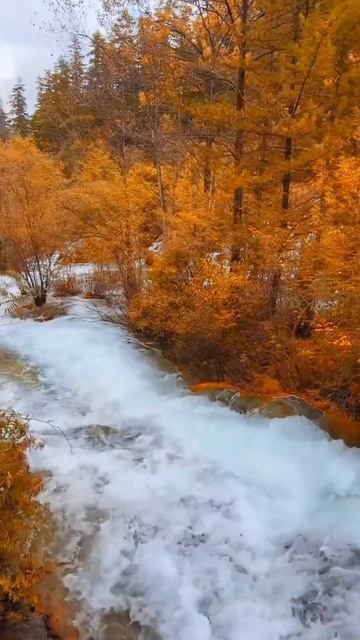 Осеннее путешествие #дзен @45394650912