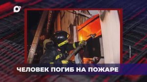 В порядке! / Оперативная статистика происшествий / 25.11.25