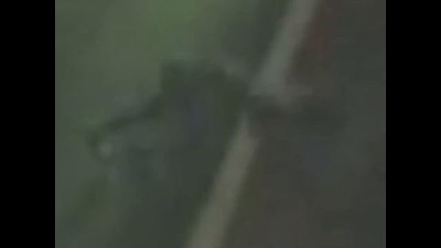 Монстр гуманоид перебегает дорогу (видео 2013 года)